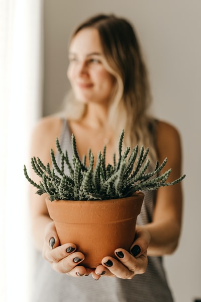 女人拿着盆栽绿色室内植物
